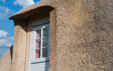Elrick thatch roof disadvantages